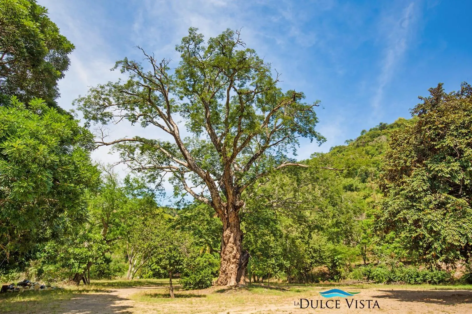 La Dulce Vista Hotel & Villas - Sierra Madre Puerto Vallarta